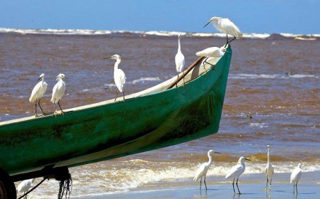 Descubra as melhores praias de Ilha Comprida - São Paulo