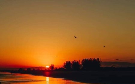 O que fazer em Ilha Comprida à noite