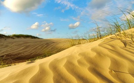 Dunas de Ilha Comprida: Um Cenário Natural Impressionante