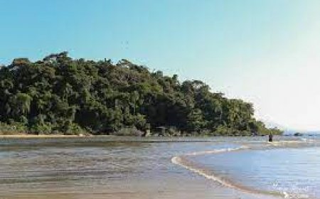 Os Encantos do Estuário Lagamar: A Riqueza Natural de Ilha Comprida