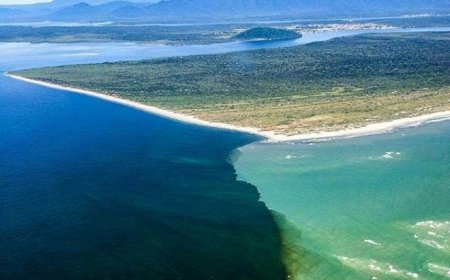 Como as Marés Influenciam o Ecossistema de Ilha Comprida?