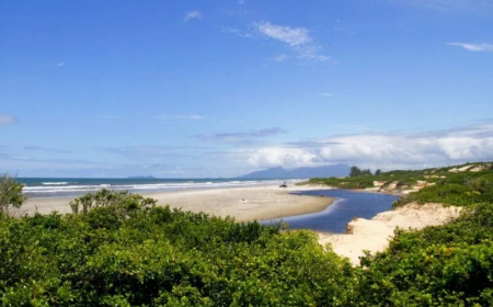 Ilha Comprida é um Paraíso para os Amantes do Ecoturismo! Saiba Por Quê