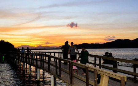 As 5 Trilhas Mais Bonitas para Explorar a Natureza de Ilha Comprida