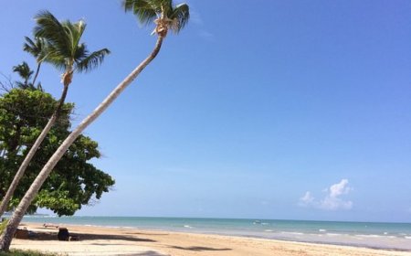 Como Visitar Ilha Comprida Sem Deixar Pegadas no Meio Ambiente?