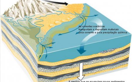Sedimentação e Dinâmica Costeira – Como os sedimentos trazidos pelos rios e pelo mar ajudaram a formar a ilha.