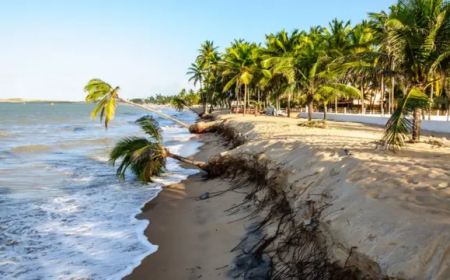 Erosão e Preservação – Os desafios naturais da Ilha Comprida diante da erosão costeira.