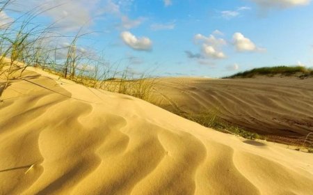 Formação das Dunas e Restingas – O impacto do vento e da vegetação na paisagem da ilha.