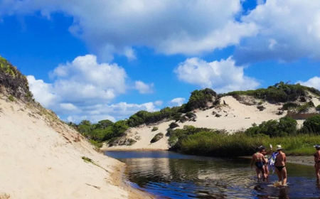 Top 5 trilhas para explorar a natureza local em Ilha Comprida