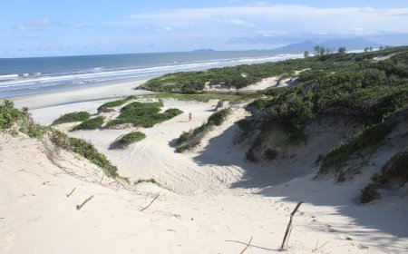 Como as dunas de Ilha Comprida formam paisagens únicas