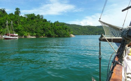 A importância das lagoas de Ilha Comprida para o ecossistema.