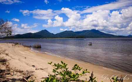 Como aproveitar o ecoturismo na Ilha Comprida