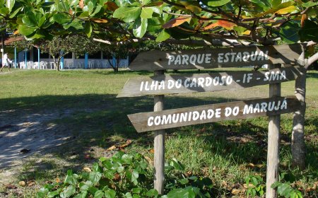 Da Ilha Comprida à Ilha do Cardoso: Uma Aventura Imperdível!