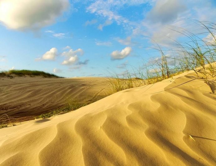 Dunas de Ilha Comprida: Um Cenário Natural Impressionante