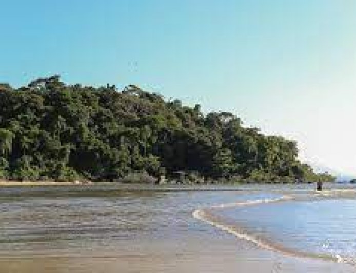 Os Encantos do Estuário Lagamar: A Riqueza Natural de Ilha Comprida