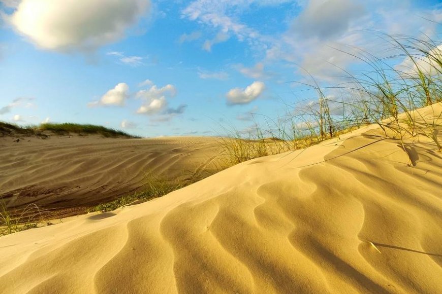 Dunas de Ilha Comprida: Um Cenário Natural Impressionante
