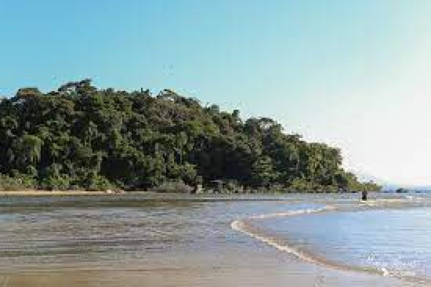 Os Encantos do Estuário Lagamar: A Riqueza Natural de Ilha Comprida